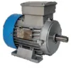 Electric Motor