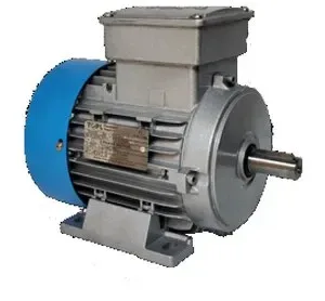 Electric Motor