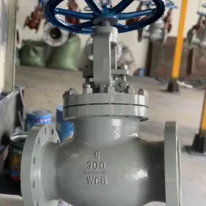 Industrial Globe Valve