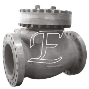 Industrial Non Return Valve