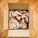 Void Filler Paper