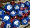 Chain Pulley Blocks