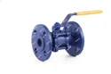 3 Pc Flanged Ball Valves