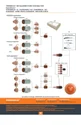 Plasma Consumables