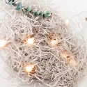 Packing Shredded Paper